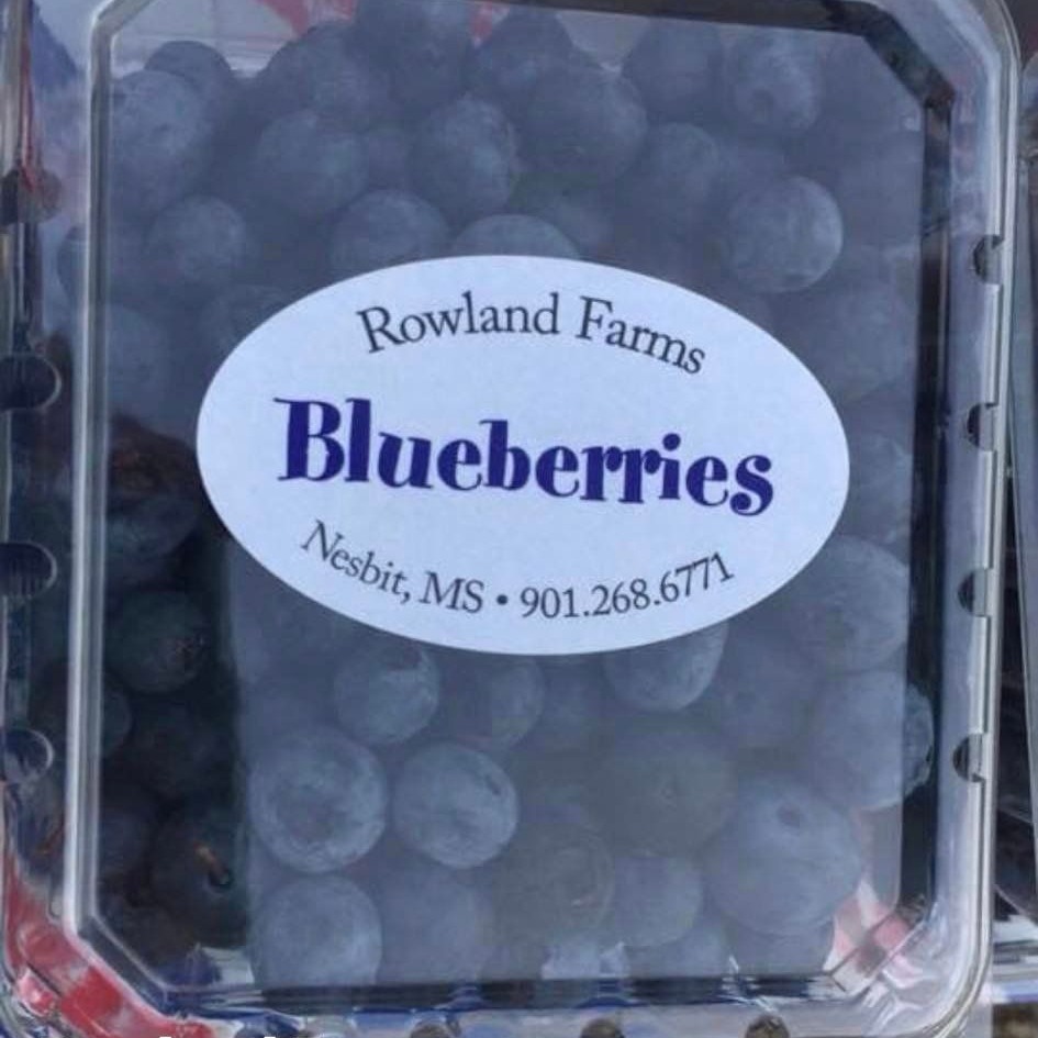 Rowland Farms Blueberries