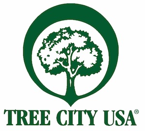 New Tree City